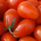 Grape tomatoes