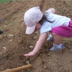 Kayla planting potatoes