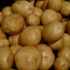 Early Potatoes