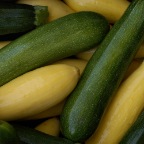 Squash & Zucchini