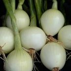 Onions