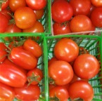 Tomato pints
