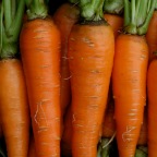 Carrots