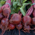 Red Ace Beets