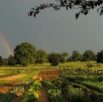 Hurtgen Meadows Farm