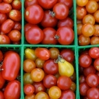 Variety Cherry Tomatoes