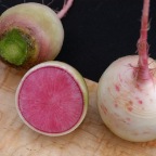 Watermelon Radishes3