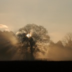 Sunrise at Hurtgen Meadows 11-2012