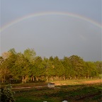 Rainbow over gardens