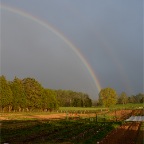 Rainbow over HMeadows, 4-14-14.JPG