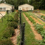 Long garden