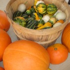 Pumpkins and Gourds