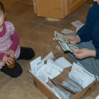 Organizing seeds