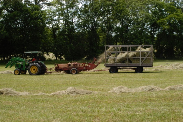 Loading Image