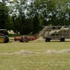 Hay Action