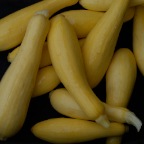 Squash