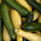 Squash and Zucchini