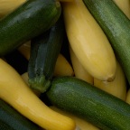 Squash/Zucchini