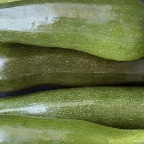 Zucchini