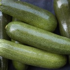 Fresh Zucchini