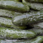 Cukes
