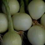 Onions