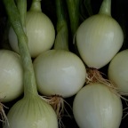 Onions