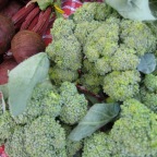 Broccoli and beets