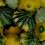 Patty pan
