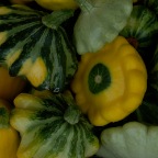 Patty pan