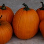 Pumpkins
