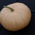 Long Island Cheese Squash