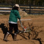 Lisa operating the seeder