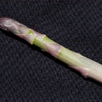 Asparagus