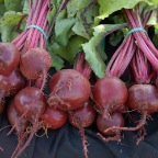 Red Ace Beets