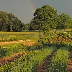 Rainbow at HM