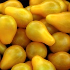 Yellow Pear Cherry