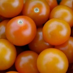 Sungold