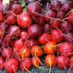 DSC_1660.JPG