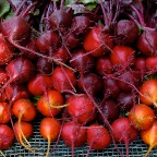 Beets