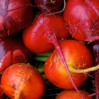 Beets variety