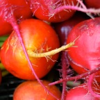 Beets up close