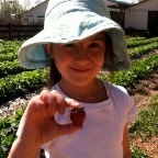 Berry tasting