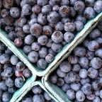 Blueberry pints