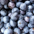 Blueberries