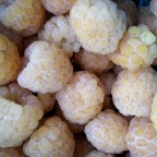 Golden raspberries