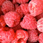 Red raspberries