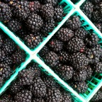 Blackberry pints