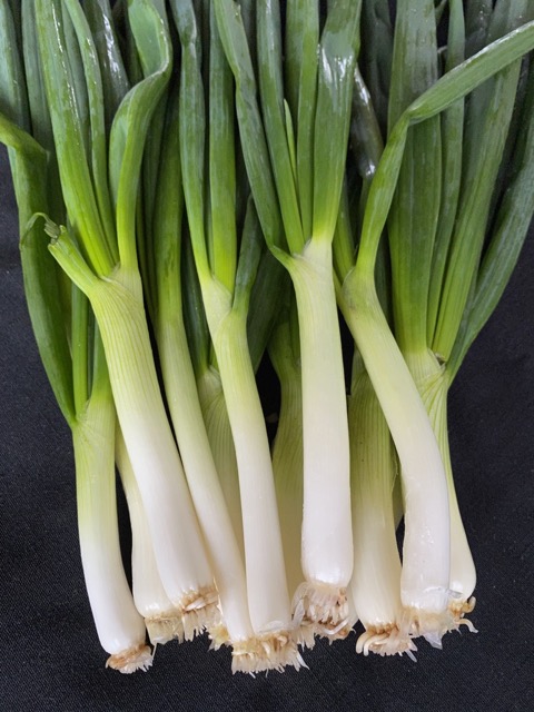 Green onions