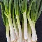 Green onions